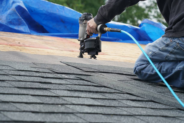 Best Metal Roofing Contractor  in Clendenin, WV