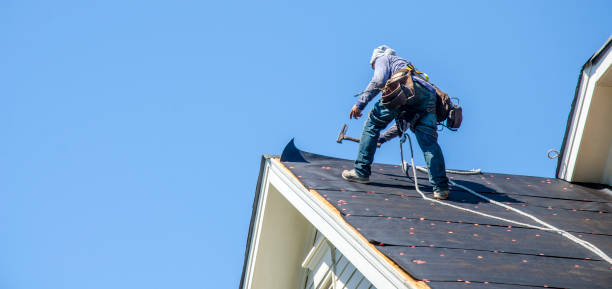 Best Storm Damage Roof Repair  in Clendenin, WV